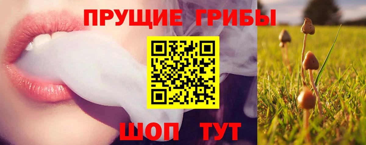 Галлюциногенные грибы GOLDEN TEACHER Нефтеюганск